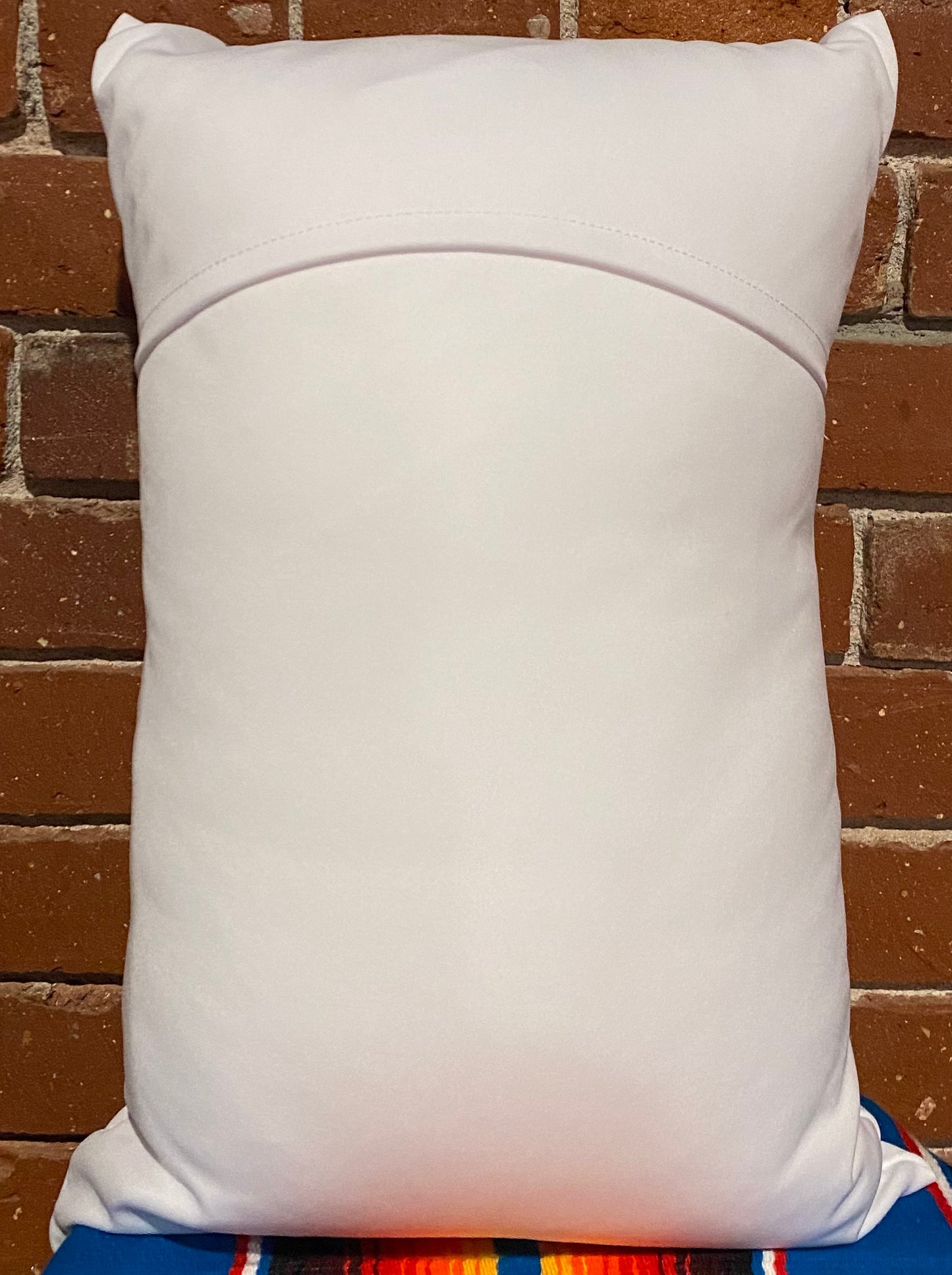 Modelo Especial Beer Can Pillow